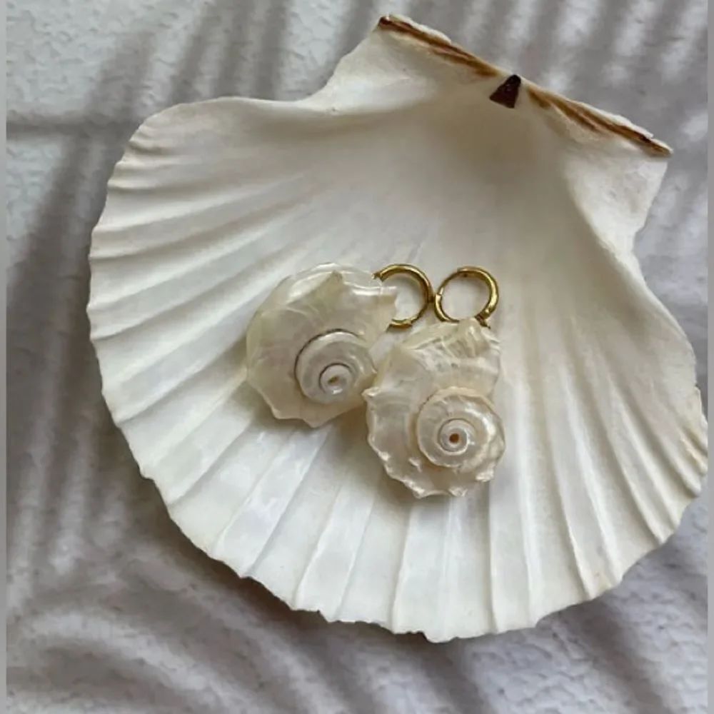 Shell Earrings N1368 - Picture 2 of 5